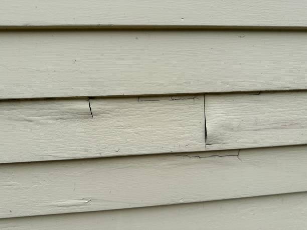 Best Storm Damage Siding Repair  in Maybrook, NY